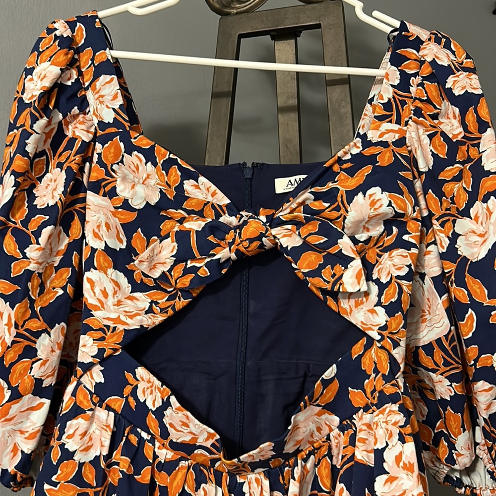 Amur - Picture 2 of 14